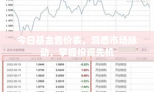 今日基金售價(jià)表，洞悉市場脈動，掌握投資先機(jī)