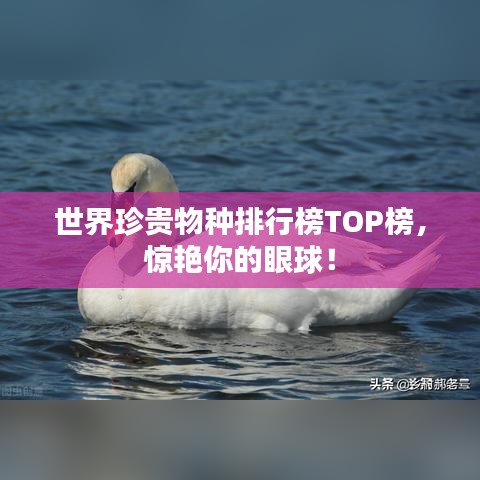 世界珍貴物種排行榜TOP榜，驚艷你的眼球！