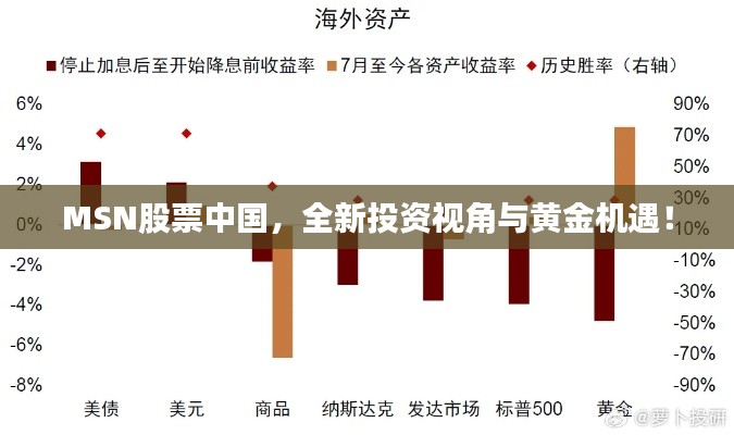 MSN股票中國，全新投資視角與黃金機(jī)遇！