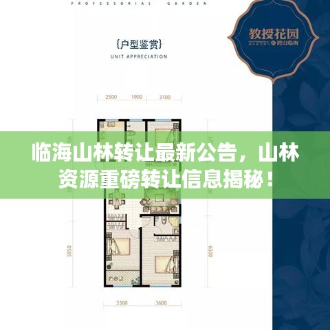 臨海山林轉讓最新公告，山林資源重磅轉讓信息揭秘！