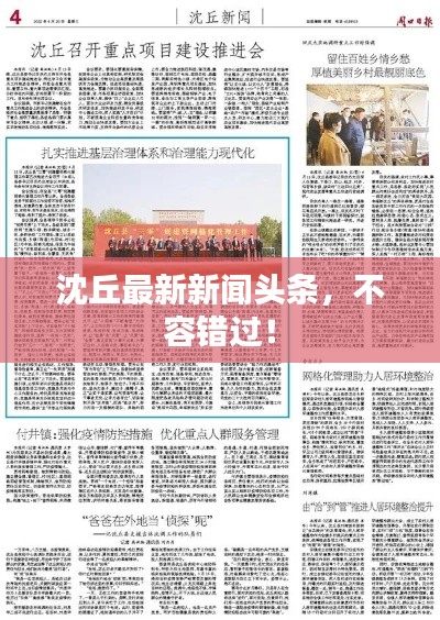 沈丘最新新聞頭條，不容錯過！