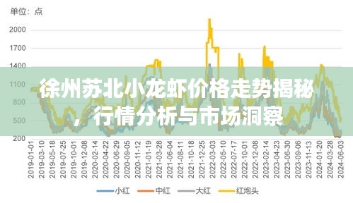 徐州蘇北小龍蝦價格走勢揭秘，行情分析與市場洞察