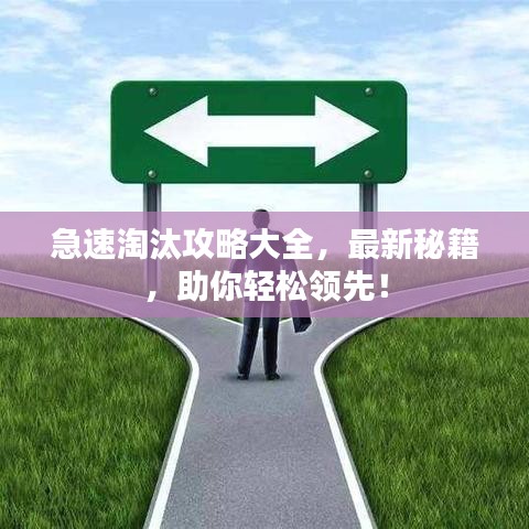 急速淘汰攻略大全，最新秘籍，助你輕松領(lǐng)先！