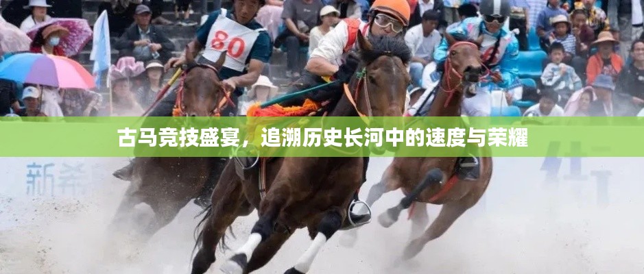 古馬競技盛宴，追溯歷史長河中的速度與榮耀