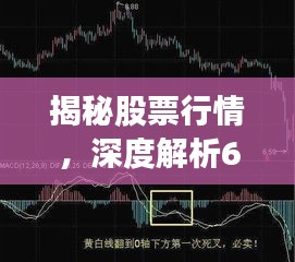 揭秘股票行情，深度解析600761走勢