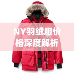 NY羽絨服價(jià)格深度解析，了解真實(shí)價(jià)格，選購(gòu)更明智！