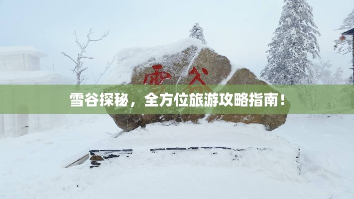 雪谷探秘，全方位旅游攻略指南！