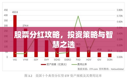 股票分紅攻略，投資策略與智慧之選