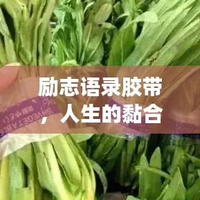 勵(lì)志語錄膠帶，人生的黏合劑，引領(lǐng)你走向成功之路