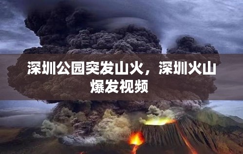 深圳公園突發(fā)山火，深圳火山爆發(fā)視頻 