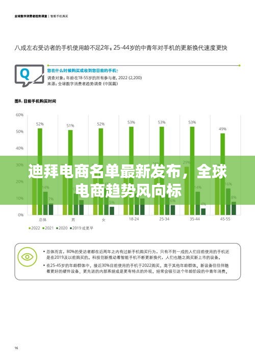 迪拜電商名單最新發(fā)布，全球電商趨勢風(fēng)向標(biāo)