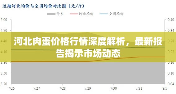 河北肉蛋價格行情深度解析，最新報告揭示市場動態(tài)