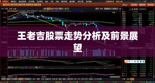 王老吉股票走勢分析及前景展望