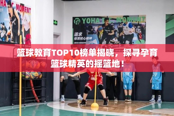 籃球教育TOP10榜單揭曉，探尋孕育籃球精英的搖籃地！