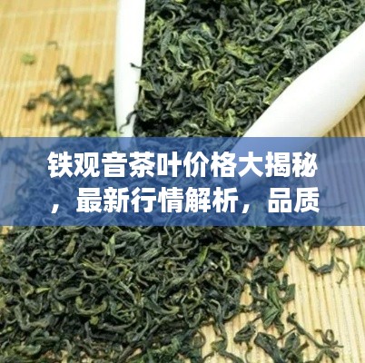 鐵觀音茶葉價格大揭秘，最新行情解析，品質(zhì)與價格雙重保障！