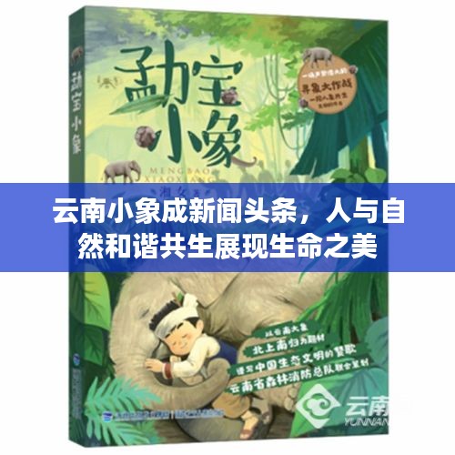 云南小象成新聞?lì)^條，人與自然和諧共生展現(xiàn)生命之美