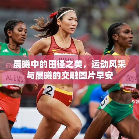 晨曦中的田徑之美，運動風采與晨曦的交融圖片早安