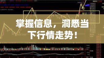 掌握信息，洞悉當下行情走勢！