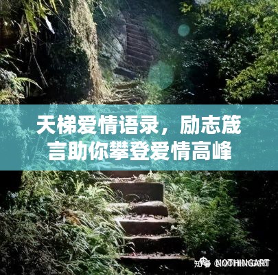 天梯愛情語(yǔ)錄，勵(lì)志箴言助你攀登愛情高峰