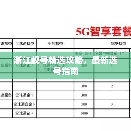 浙江靚號精選攻略，最新選號指南