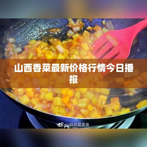 山西香菜最新價(jià)格行情今日播報(bào)