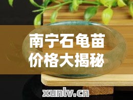 南寧石龜苗價(jià)格大揭秘，最新行情分析！