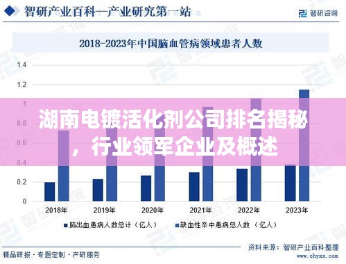 湖南電鍍活化劑公司排名揭秘，行業(yè)領(lǐng)軍企業(yè)及概述