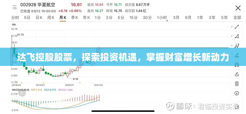 達(dá)飛控股股票，探索投資機(jī)遇，掌握財(cái)富增長(zhǎng)新動(dòng)力