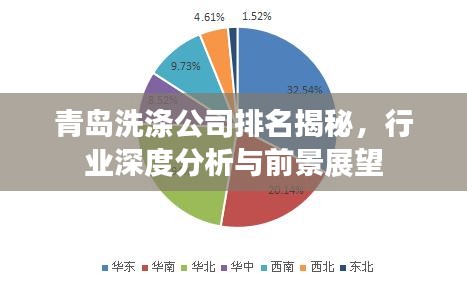 青島洗滌公司排名揭秘，行業(yè)深度分析與前景展望