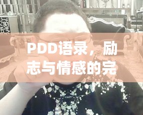 PDD語錄，勵志與情感的完美交融之道