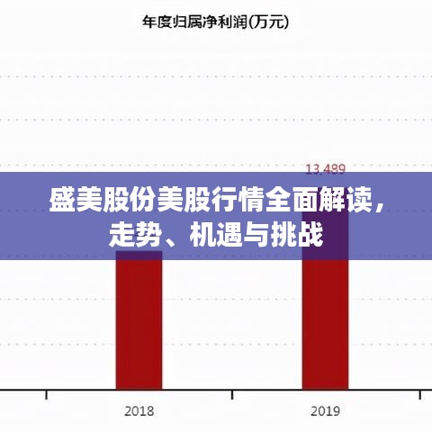 盛美股份美股行情全面解讀，走勢、機遇與挑戰(zhàn)