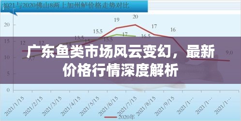 廣東魚類市場風云變幻，最新價格行情深度解析