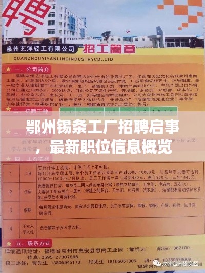 鄂州錫條工廠招聘啟事，最新職位信息概覽