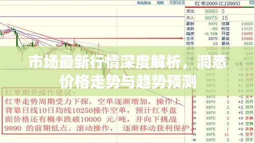 市場(chǎng)最新行情深度解析，洞悉價(jià)格走勢(shì)與趨勢(shì)預(yù)測(cè)