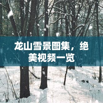 龍山雪景圖集，絕美視頻一覽