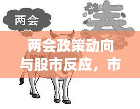 兩會(huì)政策動(dòng)向與股市反應(yīng)，市場(chǎng)走勢(shì)揭秘，投資機(jī)會(huì)前瞻