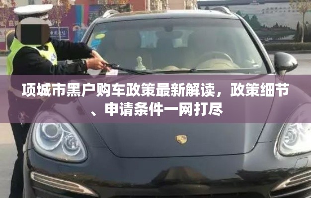 項城市黑戶購車政策最新解讀，政策細(xì)節(jié)、申請條件一網(wǎng)打盡